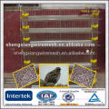 quail cage for sale & layer quail cage for poultry farm equipment